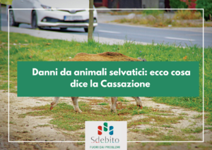Danni da animali selvatici: ecco cosa dice la Cassazione